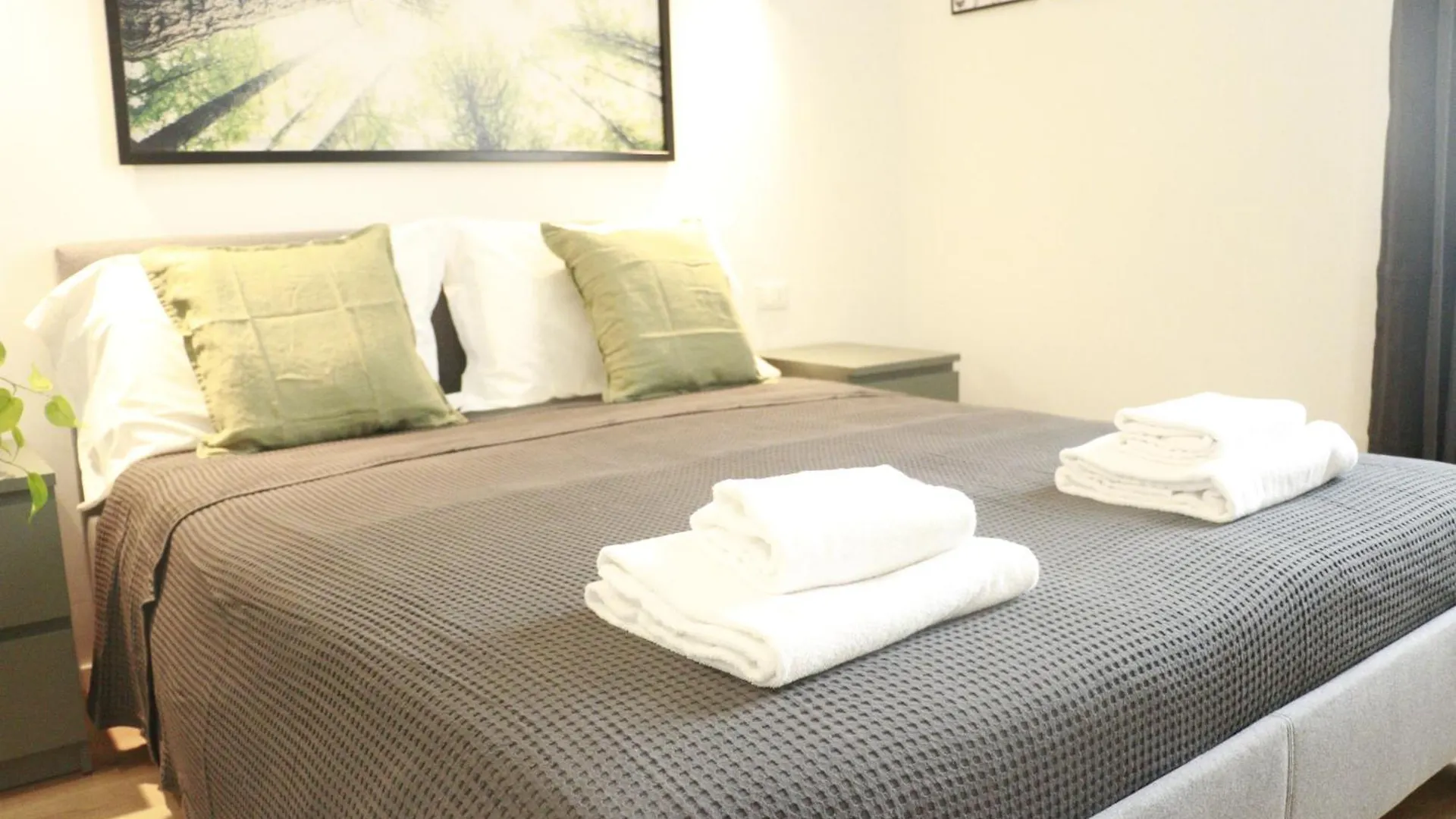 Giulio Cesare Comfort Rooms Rome Italy