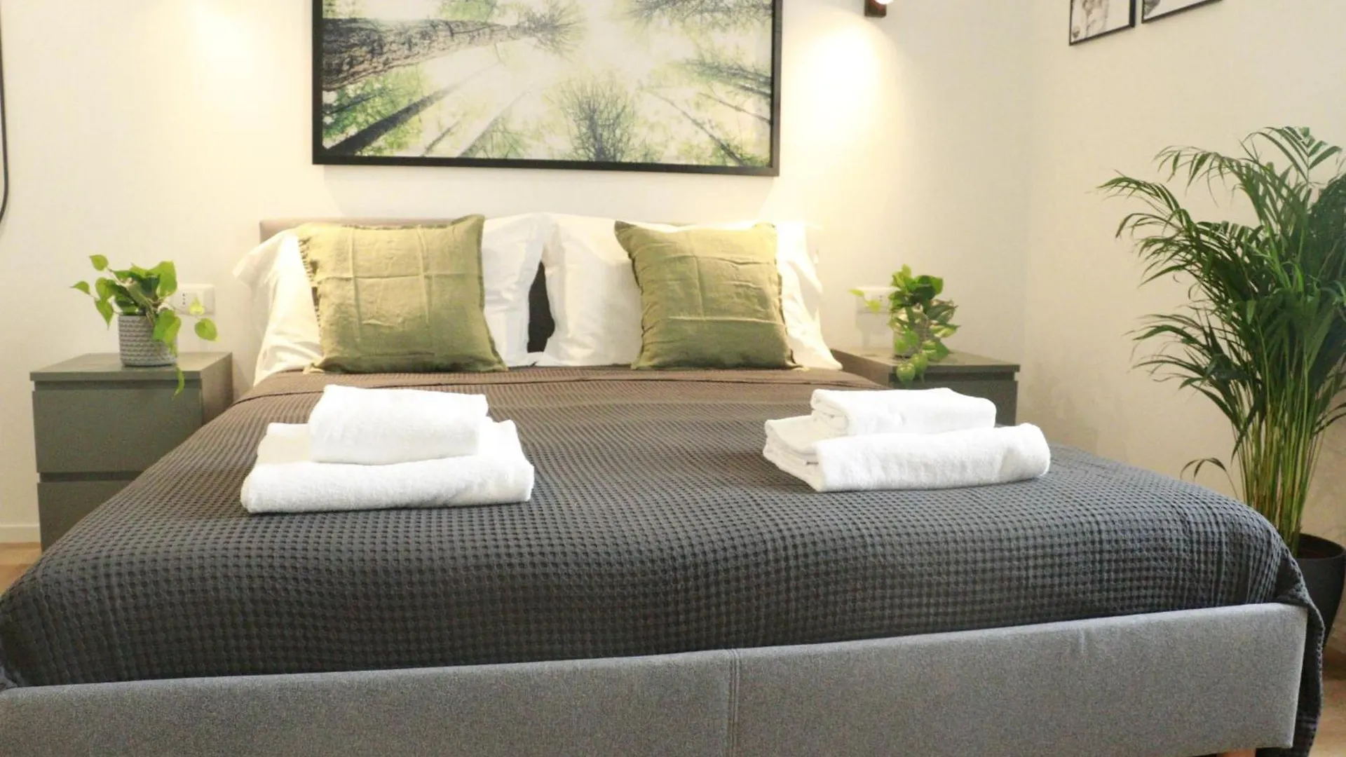 Giulio Cesare Comfort Rooms Rome 0*,  Italy