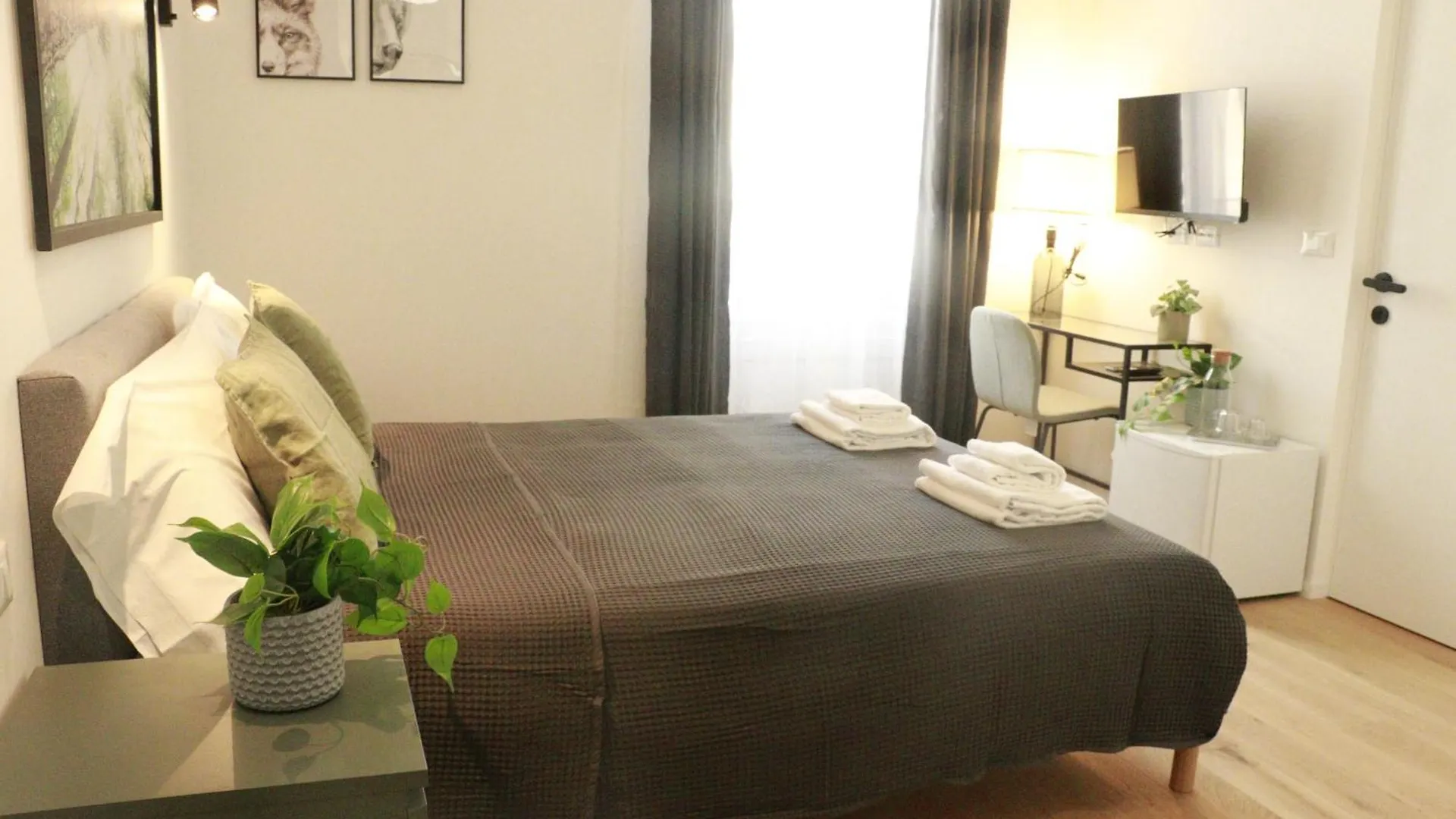 Giulio Cesare Comfort Rooms Rome Guest house