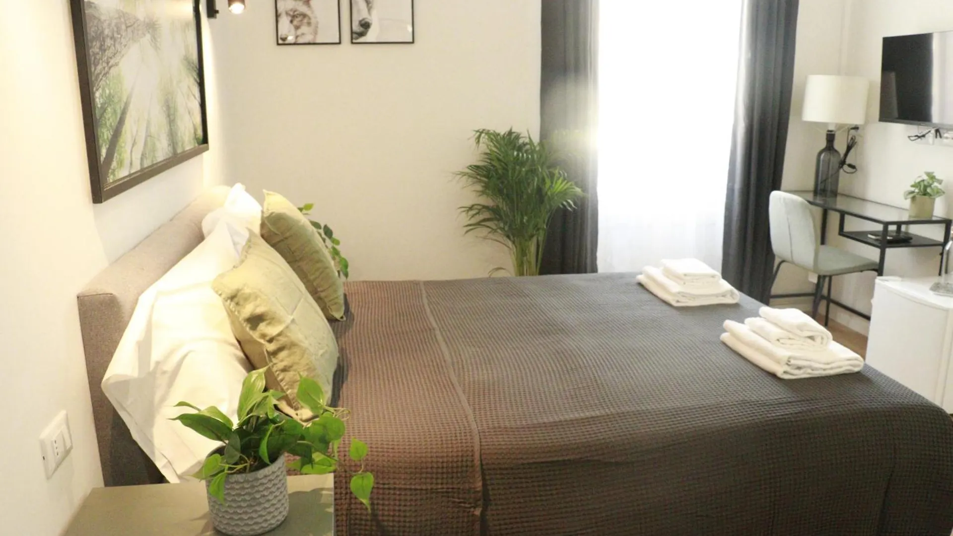 Giulio Cesare Comfort Rooms Rome Italy
