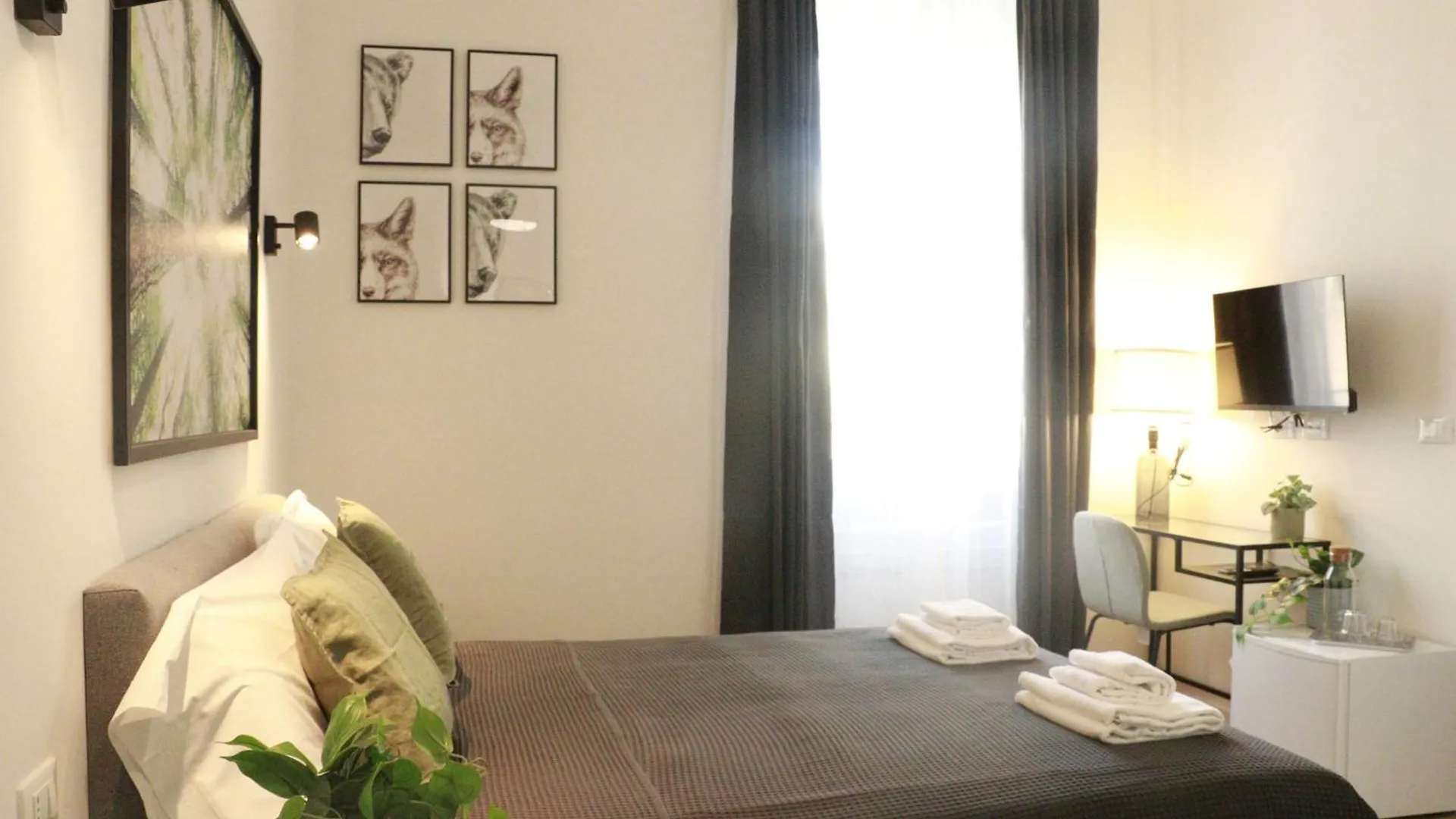 Giulio Cesare Comfort Rooms Rome